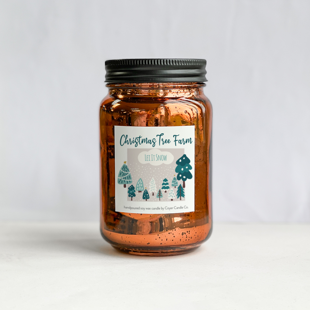 16 oz Glimmery Speckled Pint Jar Candles - Winter Collection