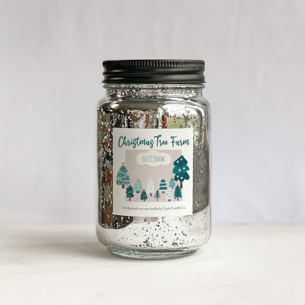 16 oz Glimmery Speckled Pint Jar Candles - Winter Collection