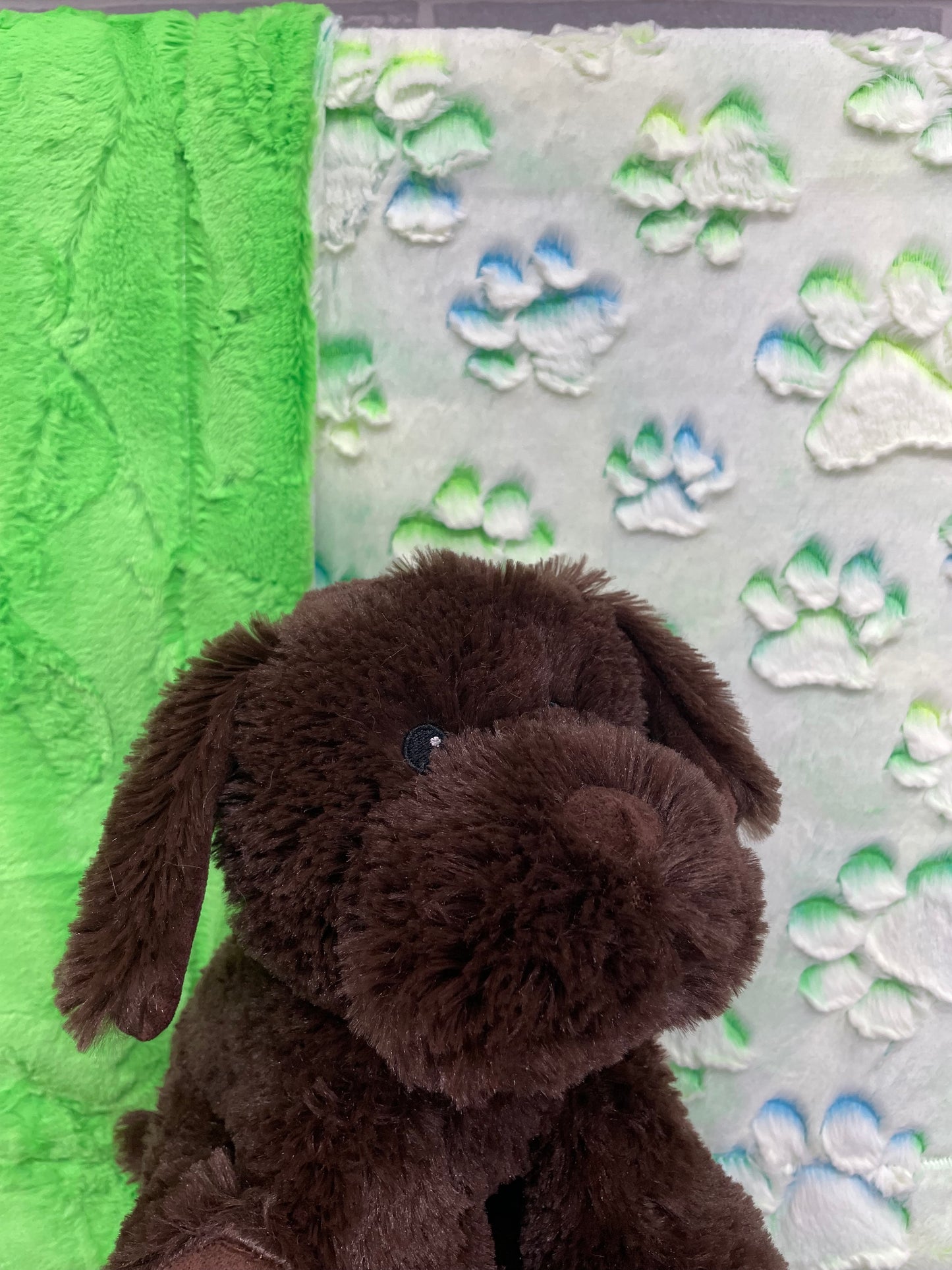 Suzanne Elizabeth- Cuddle Parakeet Prism Paws/ UFO hide, Chocolate lab Warmie