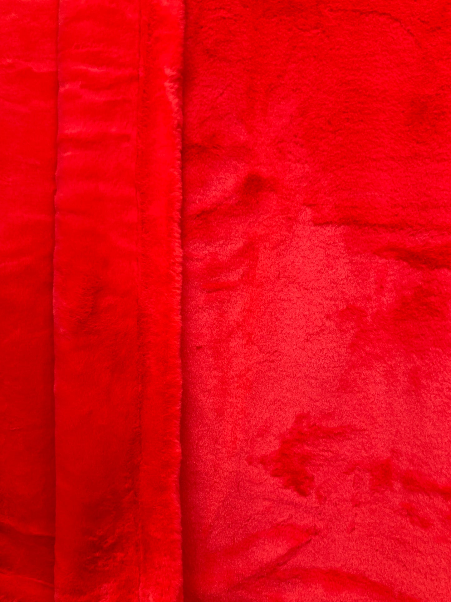 Neon Fierce Seal Blanket