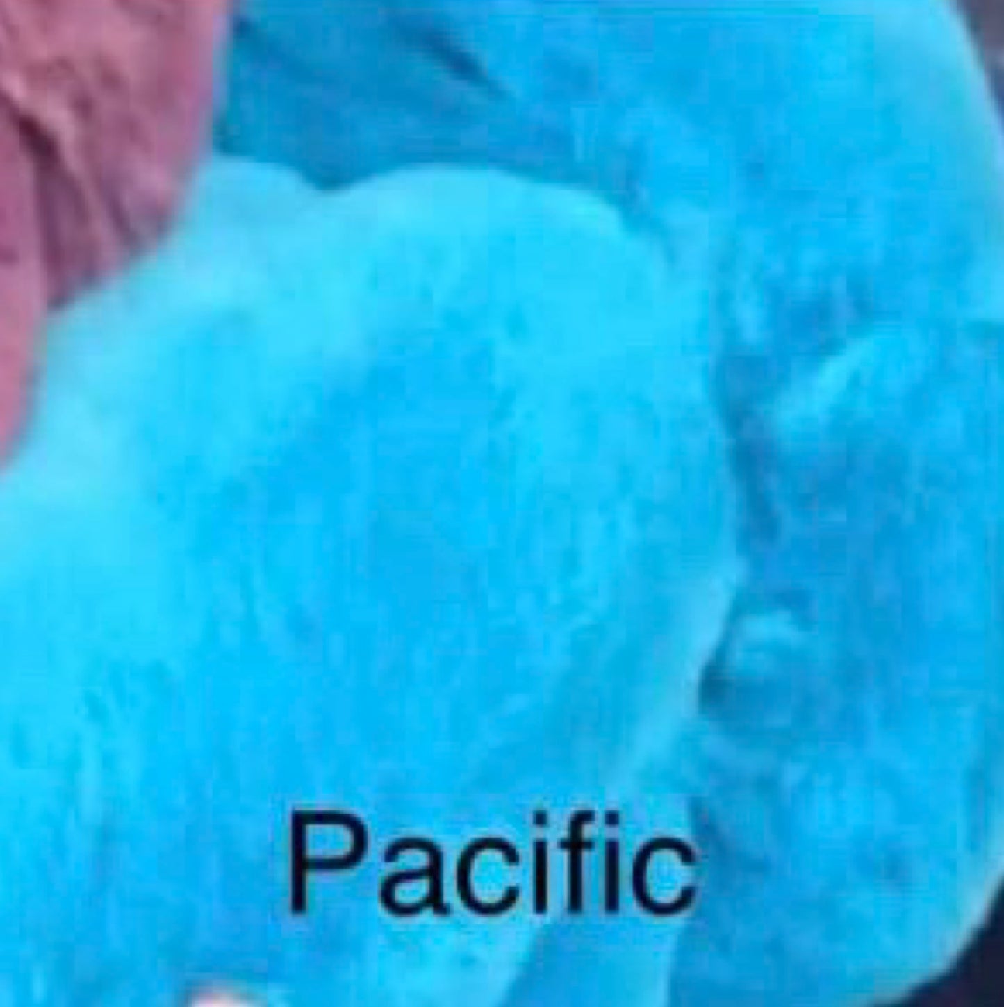 Custom Order- Laura Hintze