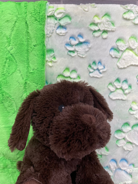 Suzanne Elizabeth- Cuddle Parakeet Prism Paws/ UFO hide, Chocolate lab Warmie